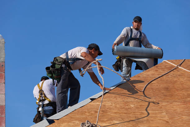 Residential Roof Replacement in Piney, AR